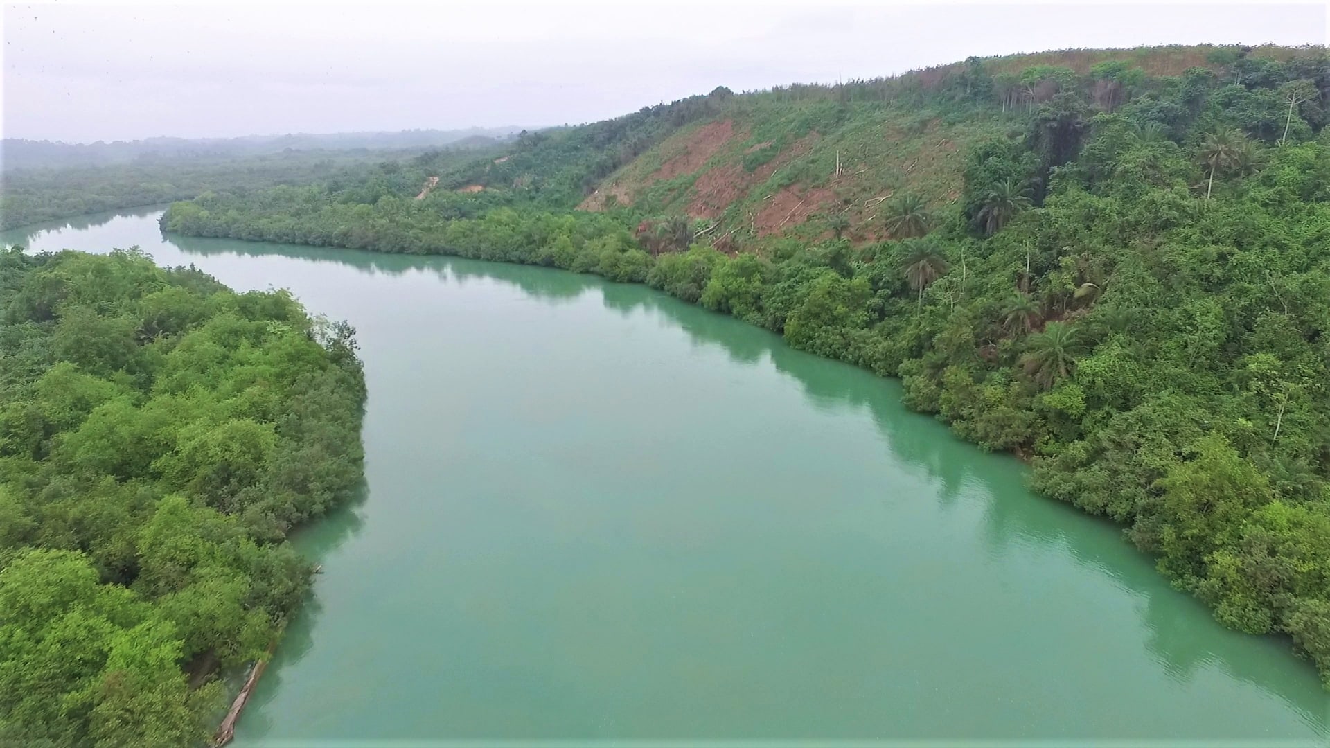 Biodiversity Loss And Pollution Of Ghana's Ecosystems